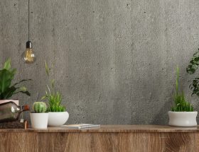 Decoração Sustentável: Parede de concreto em branco com plantas ornamentais e itens de decoração no armário de madeira